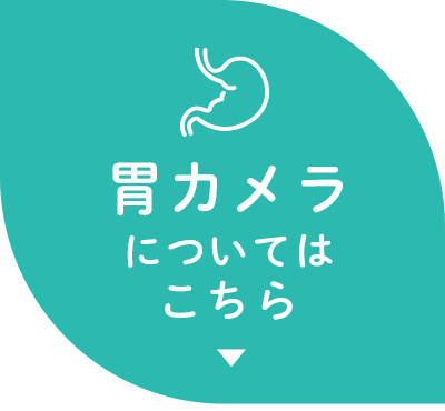胃カメラについてはこちら