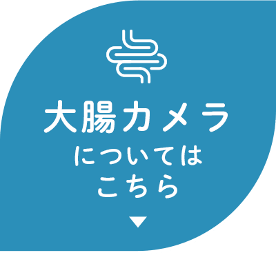 大腸カメラについてはこちら